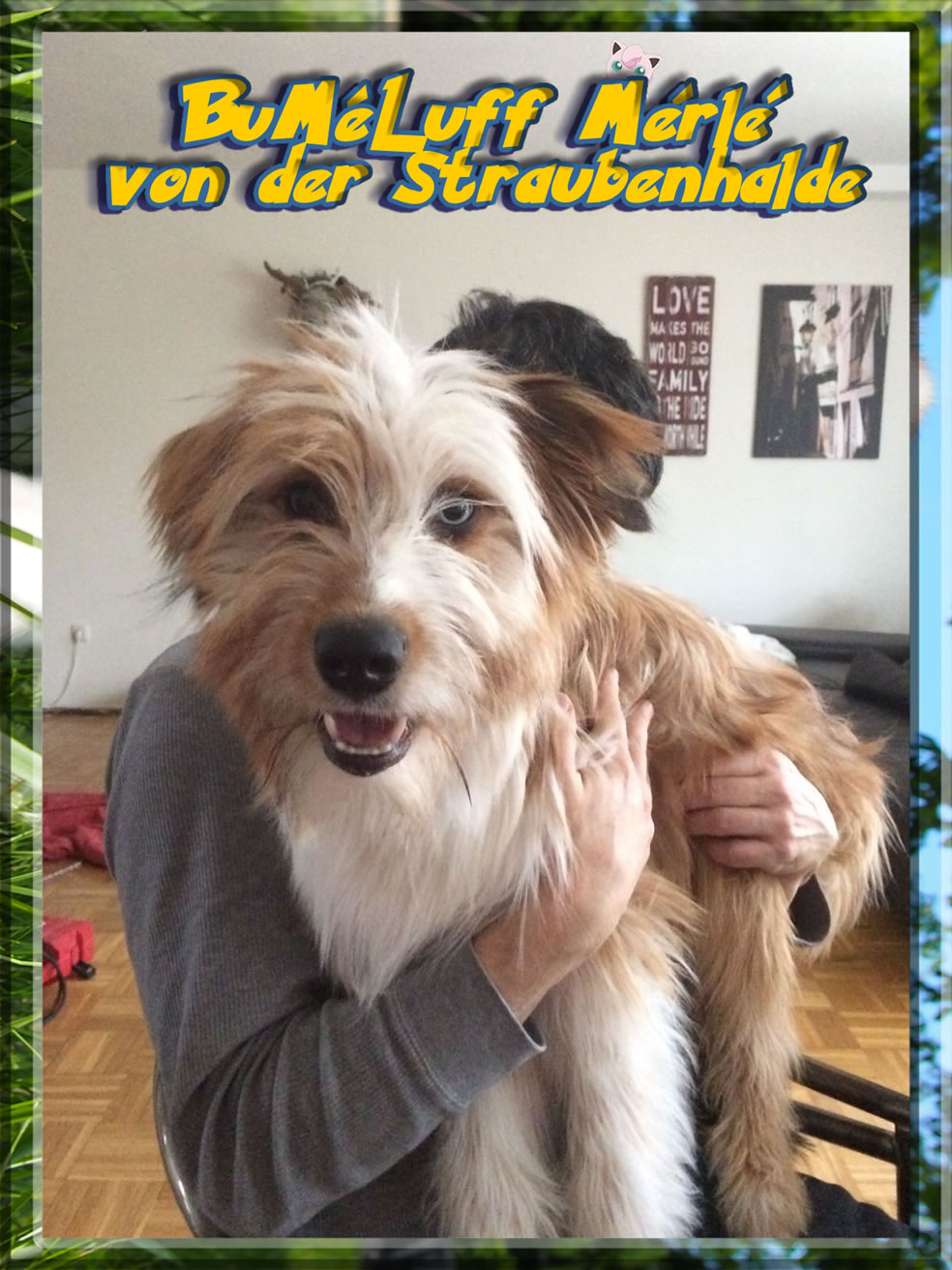 Wäller von der Straubenhalde